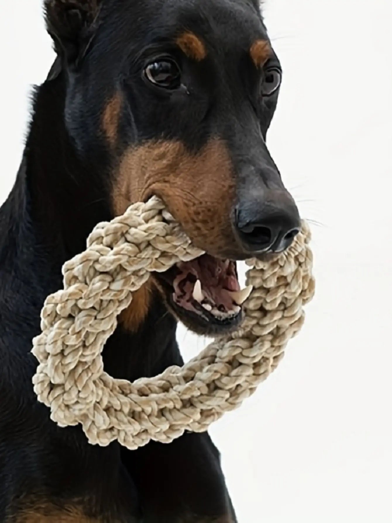BiteStrong Rope Toy